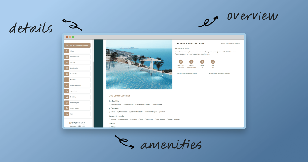 web project